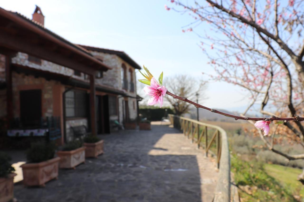 B&B Casale Roshlee Gualdo Cattaneo Exterior foto